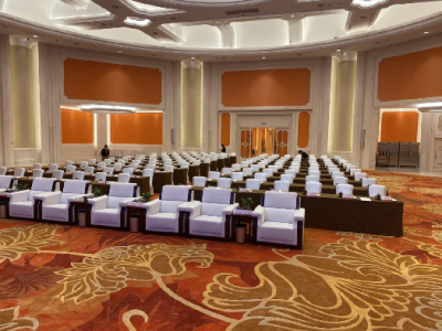 南京白金汉爵大酒店201会场图