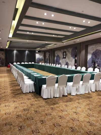 杭州暗香瑞莱克斯大酒店杨岐厅会场图