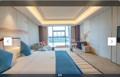 武宁艺邦半岛酒店湖景豪华大床房客房图
