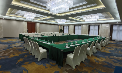 新余华侨豪生大酒店多功能厅2会场图