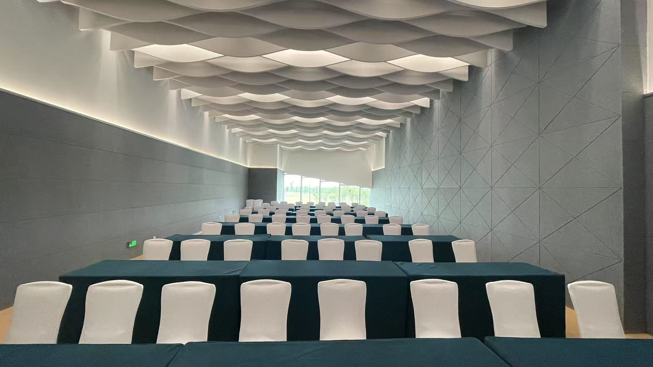 扬子江国际会议中心会议室210会场图