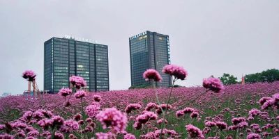 浙江三立开元名都大酒店外观