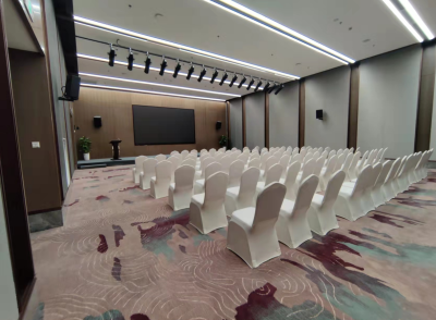 南京上秦淮国际文化交流中心223会场图