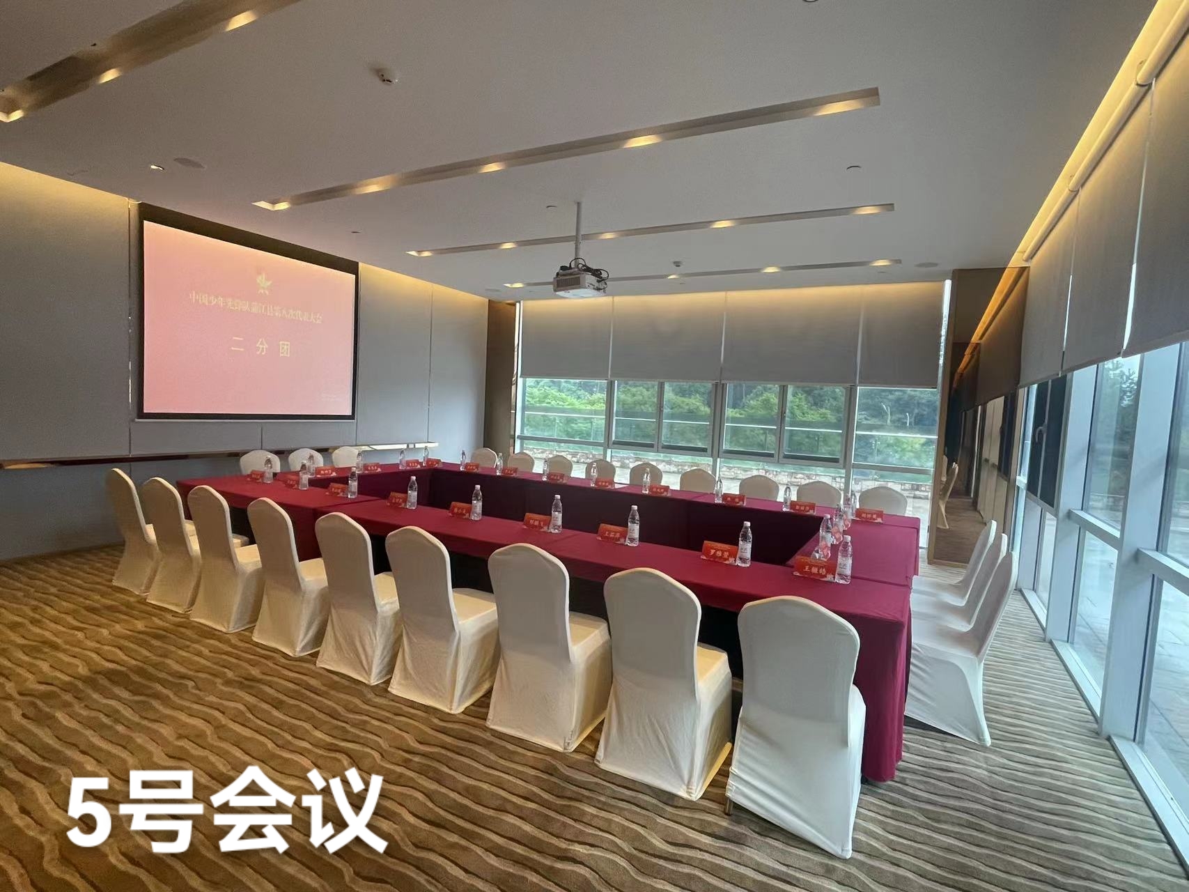 成都蒲江东兴福朋喜来登酒店会议室5会场图